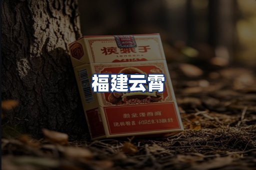 福建云霄
